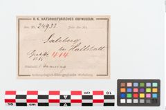 Etiketten zu Bronzebuckelarmreif (NHMW-PRAE-024933)